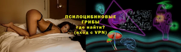 герыч Алексин