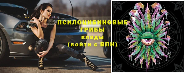 герыч Алексин