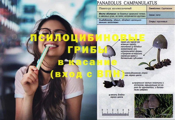 спиды Алзамай